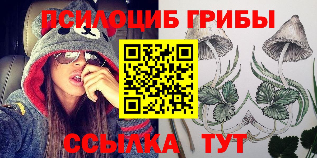 Арсеньев  Псилоцибиновые грибы мухоморы  Вход с VPN 